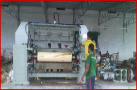 Hydraulic peeling machine