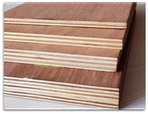 Stiff Leaf Plywood